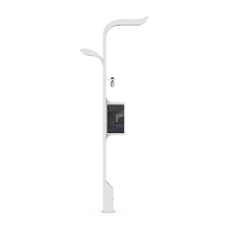 Smart street pole light CSP08
